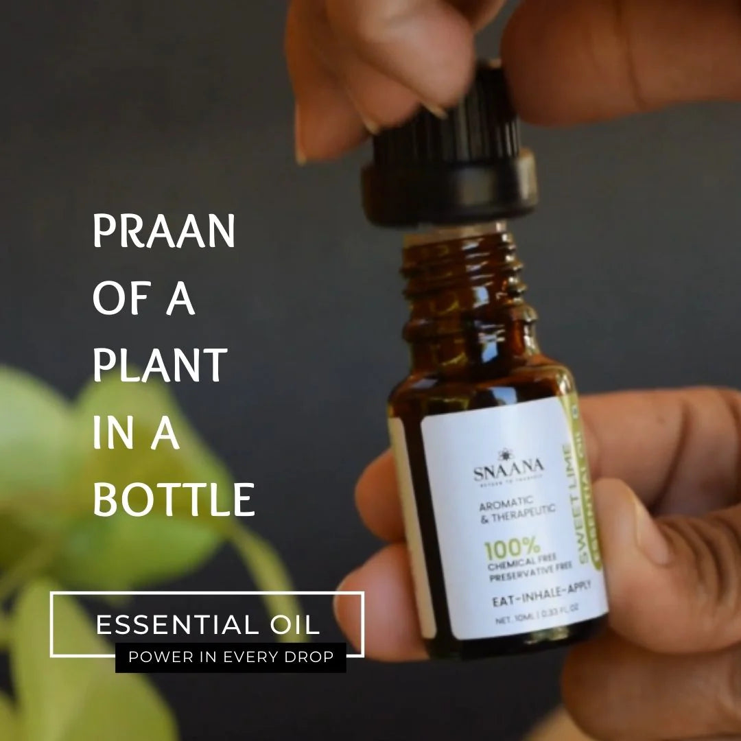 Turmeric Essential oil