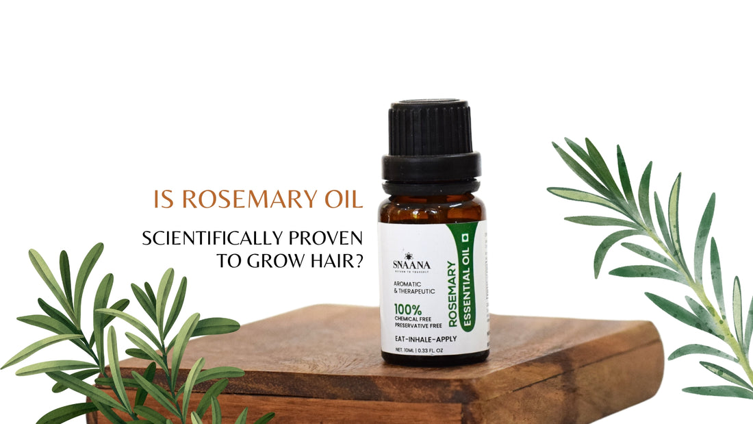 Is Rosemary Oil Scientifically Proven To Grow Hair?