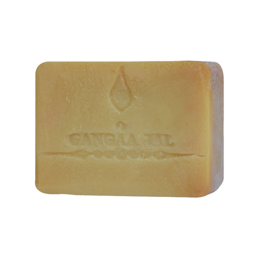 Gangaajal dry skin soap